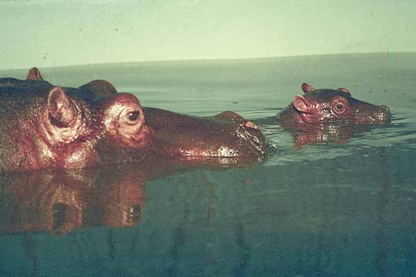 04_kfn_130_0012_gross